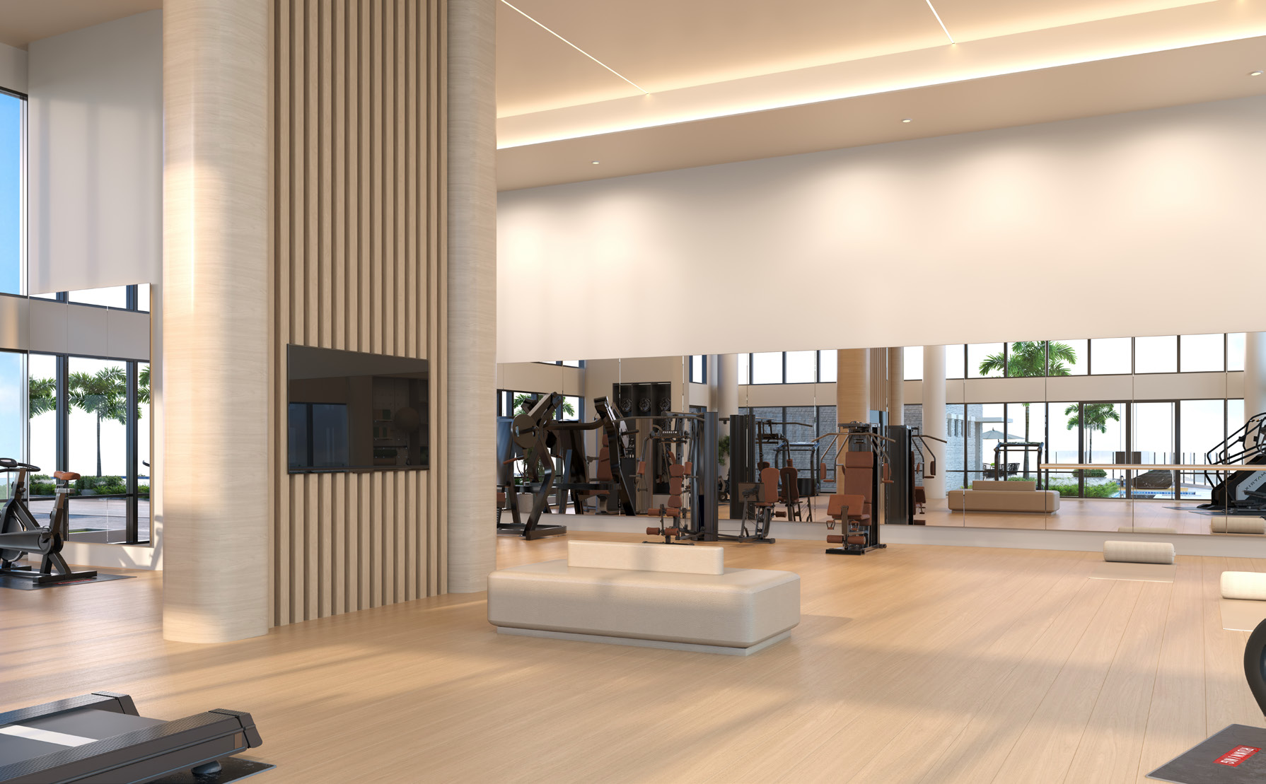 Gym fitness